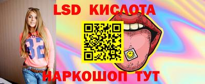 шишки Изобильный