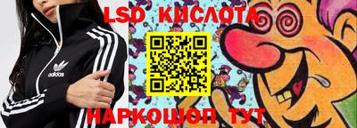 шишки Изобильный