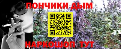 шишки Изобильный